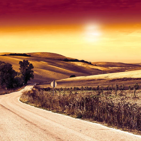 Estrada Asfalto Entre Campos Espanha Após Colheita Nascer Sol Paisagem — Fotografia de Stock