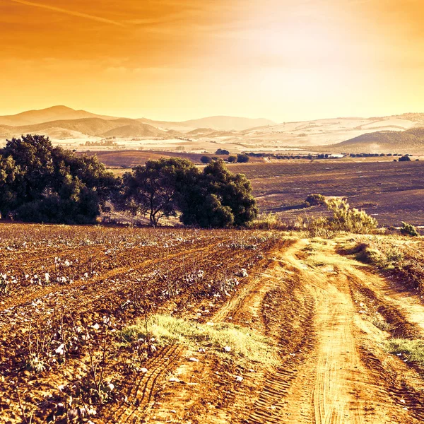 Campos Espanha Após Colheita Nascer Sol Paisagem Tirar Fôlego Natureza — Fotografia de Stock