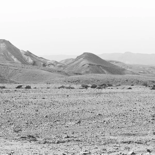 Soledad Vacío Las Colinas Rocosas Del Desierto Del Neguev Israel — Foto de Stock