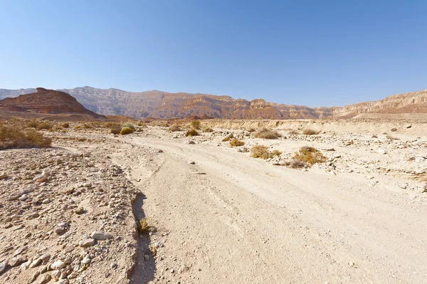 Eenzaamheid Leegte Van Rotsachtige Heuvels Van Negev Woestijn Israël Adembenemend — Stockfoto