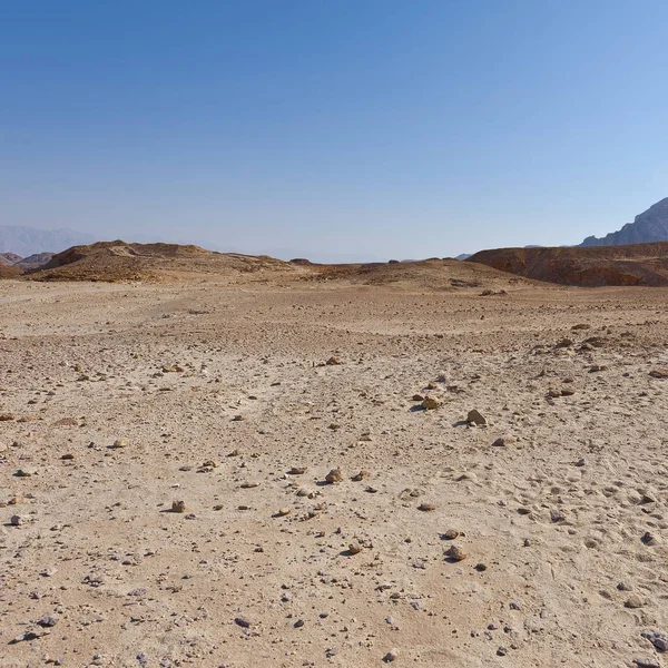 Infinite fantasy of the rocky hills of the Negev Desert in Israel. Breathtaking landscape and nature of the Middle East.