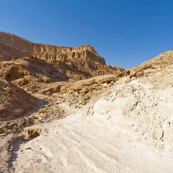 Fantasia Infinita Das Colinas Rochosas Deserto Negev Israel Paisagem Tirar — Fotografia de Stock