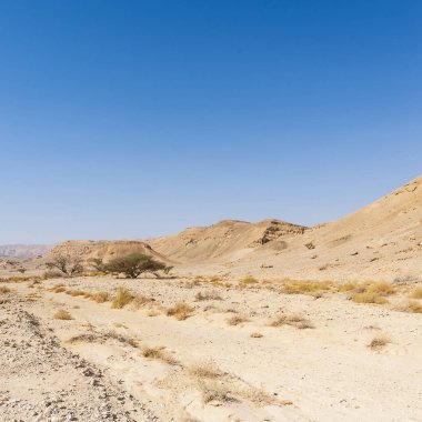 İsrail 'deki Negev Çölü' nün kayalık tepelerinin melankolik ve boşluğu. Ortadoğu 'nun nefes kesici manzarası ve doğası.