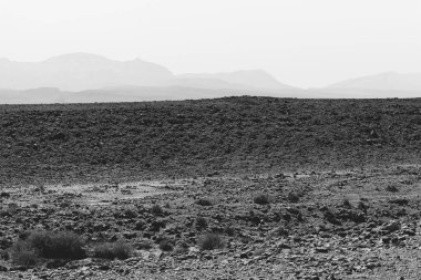 İsrail 'deki Negev Çölü' nün Rocky tepelerinin sonsuz ıssızlığı. Ortadoğu 'nun nefes kesici manzarası ve doğası. Siyah beyaz fotoğraf