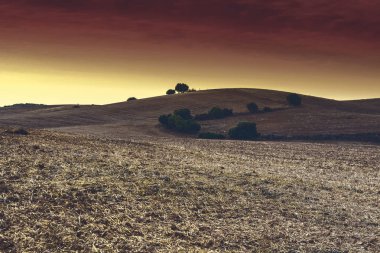 Sonra güneş doğarken hasat sonbahar alanlarındaki İspanya. Nefes kesici manzara ve doğa İber Yarımadası'nın