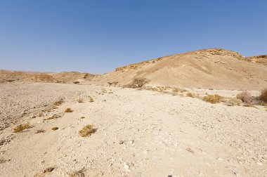 İsrail 'deki Negev Çölü' nün Rocky tepelerinin sonsuz ıssızlığı. Ortadoğu 'nun nefes kesici manzarası ve doğası.