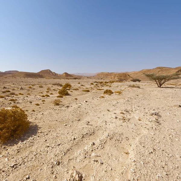 Melancholie Und Leere Der Felsigen Hügel Der Negev Wüste Israel — Stockfoto