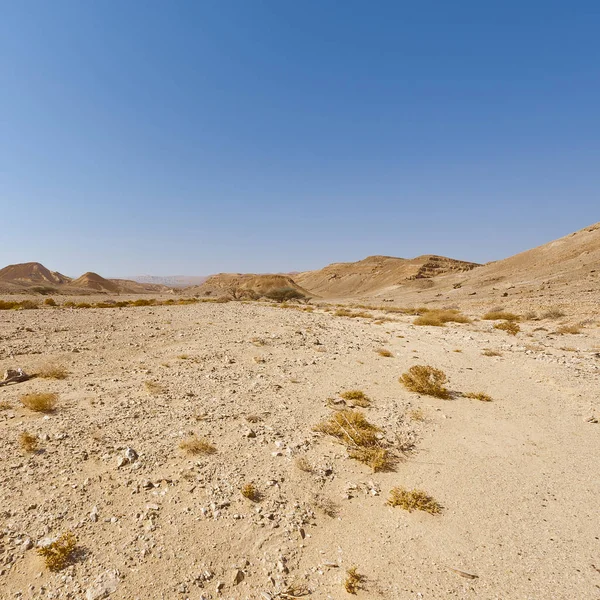 Izraeli Negev Sivatag Sziklás Dombjainak Melankóliája Üressége Lélegzetelállító Táj Közel — Stock Fotó