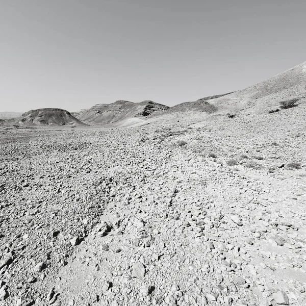 Soledad Vacío Las Colinas Rocosas Del Desierto Del Neguev Israel — Foto de Stock