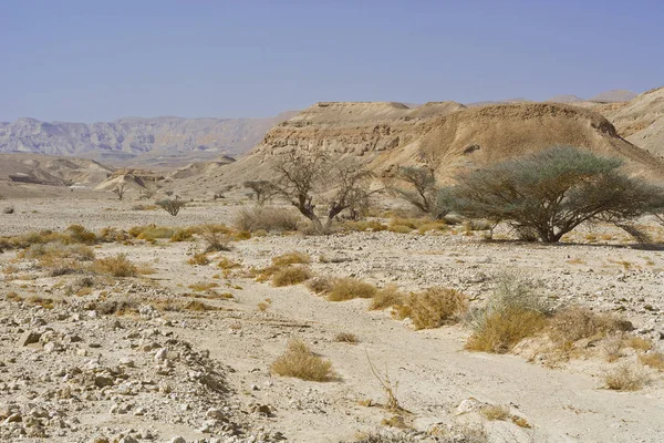 Infinite Fantasy Rocky Hills Negev Desert Israel Breathtaking Landscape Nature — Stock Photo, Image