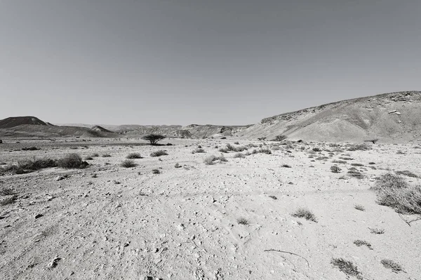 Srail Deki Negev Çölü Nün Kayalık Tepelerinde Siyah Beyaz Dramatik — Stok fotoğraf