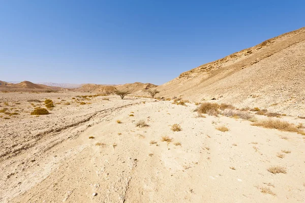 Desolate Infinity Rocky Hills Negev Desert Israel Breathtaking Landscape Nature — Stock Photo, Image