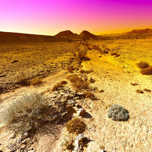 Цвета Скалистых Холмов Пустыни Негев Израиле Захватывающий Дух Пейзаж Природа — стоковое фото