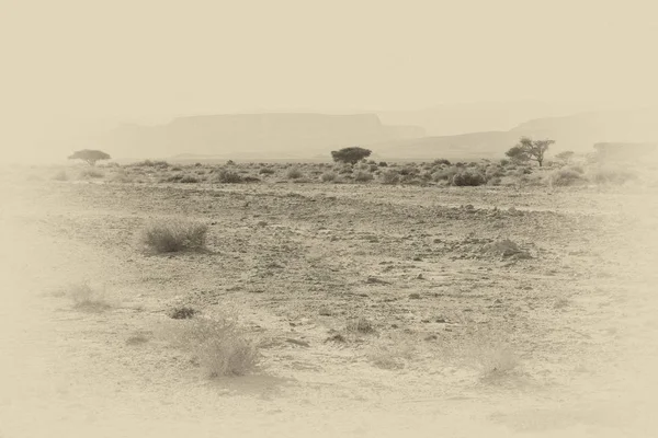 Desolate infinity of the Rocky hills of the Negev Desert in Israel. Breathtaking landscape and nature of the Middle East. Black and white photo