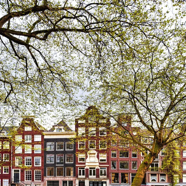 Zabytki Mieście Amsterdam Typowy Holenderski Cegła Domy Holandii — Zdjęcie stockowe