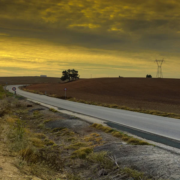 Asphalte Route Entre Les Collines Couvertes Champs Espagne Lever Soleil — Photo