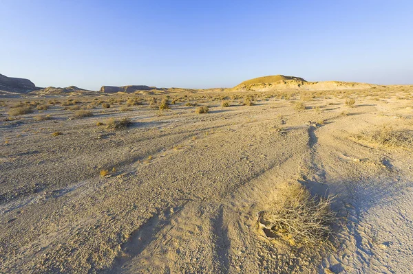 Desolada Infinidad Las Colinas Rocosas Del Desierto Del Neguev Israel —  Fotos de Stock