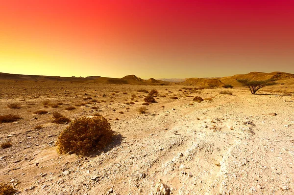 Coloridas Colinas Rocosas Del Desierto Del Neguev Israel Impresionante Paisaje —  Fotos de Stock