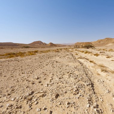 İsrail 'deki Negev Çölü' nün kayalık tepelerinin melankolik ve boşluğu. Ortadoğu 'nun nefes kesici manzarası ve doğası.