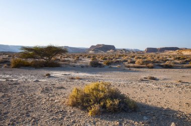 İsrail 'deki Negev Çölü' nün Rocky tepelerinin sonsuz ıssızlığı. Ortadoğu 'nun nefes kesici manzarası ve doğası.