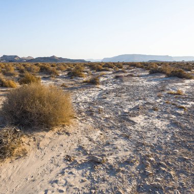 İsrail 'deki Negev Çölü' nün Rocky tepelerinin sonsuz ıssızlığı. Ortadoğu 'nun nefes kesici manzarası ve doğası.