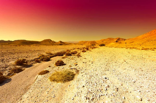 Kleurrijke Rotsachtige Heuvels Van Negev Woestijn Israël Adembenemend Landschap Natuur — Stockfoto