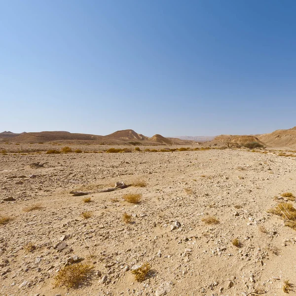 Melancholie Leegte Van Rotsachtige Heuvels Van Negev Woestijn Israël Adembenemend — Stockfoto