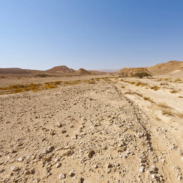 이스라엘의 사막에 바위투성이 덕들은 우울하고 공허하였습니다 숨막힐 중동의 풍경과 — 스톡 사진
