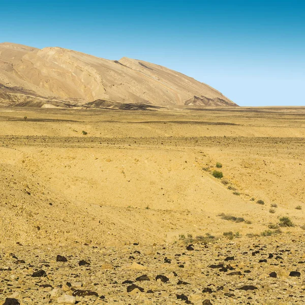 Colinas Rocosas Del Desierto Del Néguev Israel Impresionante Paisaje Las —  Fotos de Stock