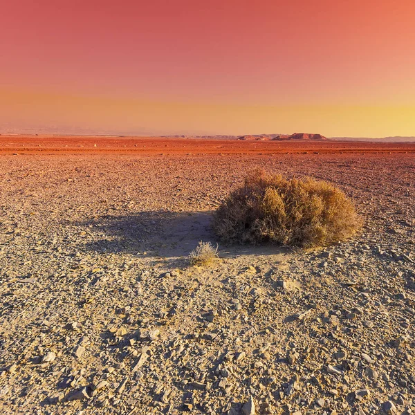 Colorate Colline Rocciose Del Deserto Del Negev Israele Paesaggio Mozzafiato — Foto Stock