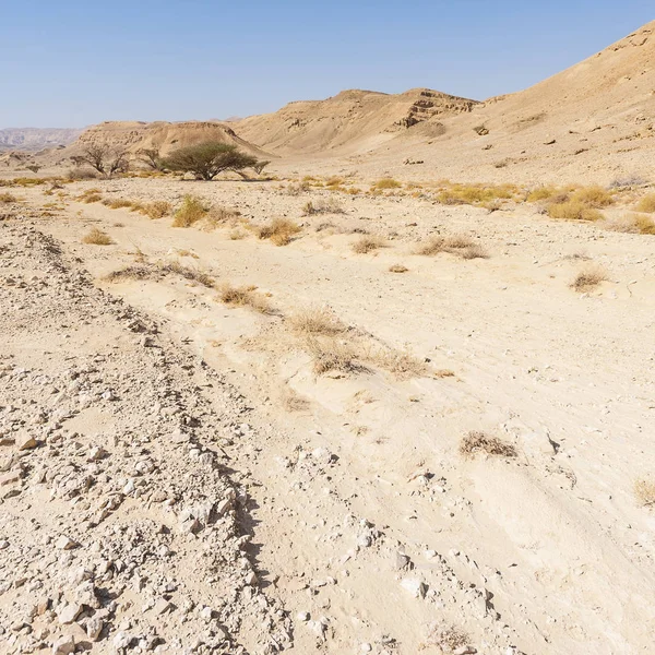 Melancholie Leegte Van Rotsachtige Heuvels Van Negev Woestijn Israël Adembenemend — Stockfoto