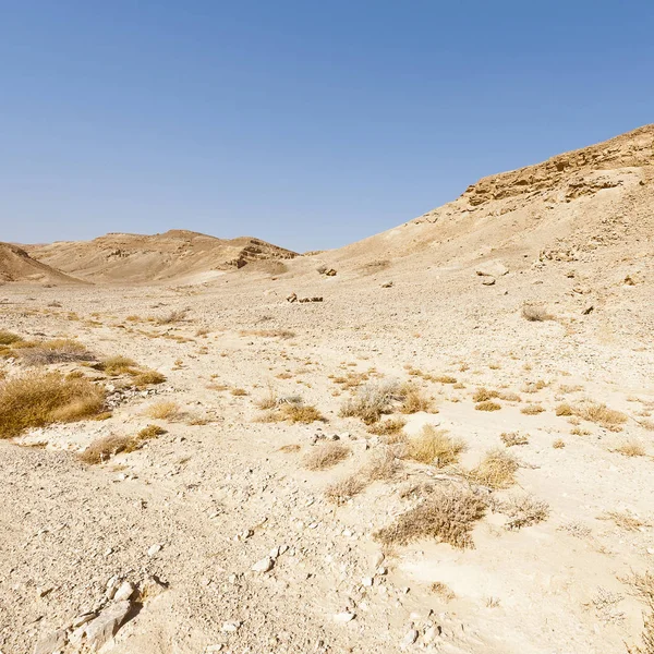 Srail Deki Negev Çölü Nün Kayalık Tepelerinin Melankolik Boşluğu Ortadoğu — Stok fotoğraf