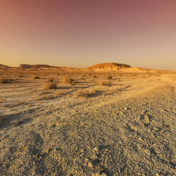 Colorate Colline Rocciose Del Deserto Del Negev Israele Paesaggio Mozzafiato — Foto Stock