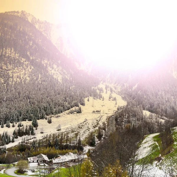 Morgennebel Den Italienischen Alpen Blick Auf Das Bergwaldtal Bei Sonnenaufgang — Stockfoto