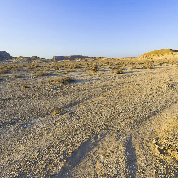 Desolate Infinity Rocky Hills Negev Desert Israel Breathtaking Landscape Nature — Stock Photo, Image