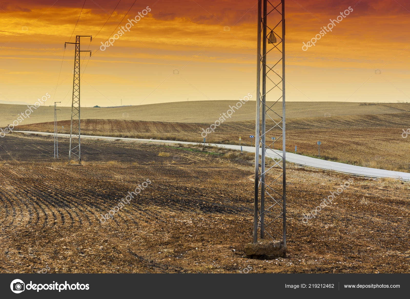 Olivar Campos España Después Cosecha Amanecer Líneas Energía - 