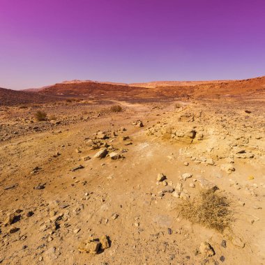 Gün batımında İsrail 'deki Negev Çölü' nün Rocky tepeleri. Güney İsrail 'deki kaya oluşumlarının nefes kesici manzarası. Tozlu dağlar wadiler ve derin kraterler tarafından kesildi..
