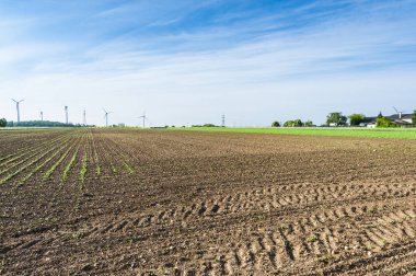 Modern rüzgâr türbinleri enerji üreten ile Avusturya peyzaj sürülmüş alanlar