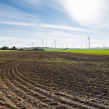 Modern rüzgâr türbinleri enerji üreten ile Avusturya peyzaj sürülmüş alanlar
