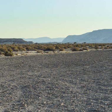 İsrail 'deki Negev Çölü' nün kayalık tepelerinde yalnızlık ve boşluk. Ortadoğu 'nun nefes kesici manzarası ve doğası.