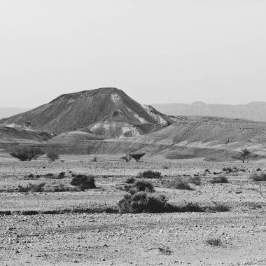 İsrail 'deki Negev Çölü' nün kayalık tepelerinde yalnızlık ve boşluk. Ortadoğu 'nun nefes kesici manzarası ve doğası. Siyah beyaz fotoğraf