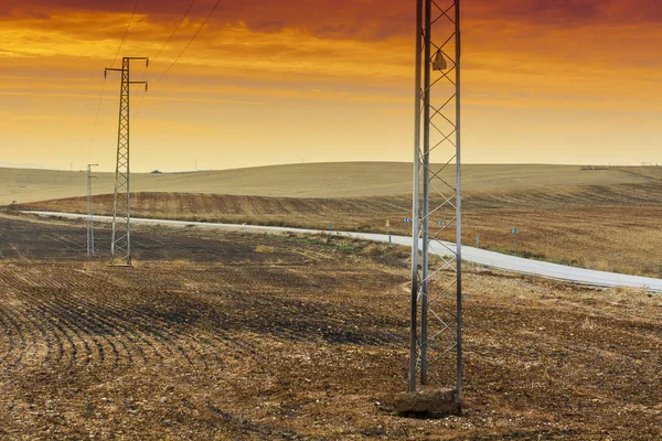 Olive Grove Fields Spain Harvesting Sunrise Electrical Power Lines Pylons — Stock Photo, Image