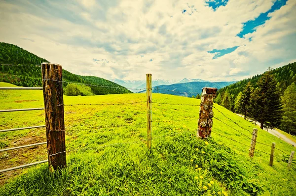 Pascolo Recintato Con Filo Spinato Nelle Alpi Austriache Sullo Sfondo — Foto Stock