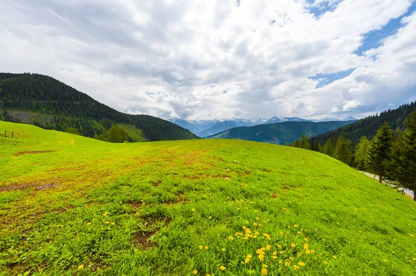 Austrian Landscape Forests Fields Pastures Meadows Background Snow Capped Alps — Stock Photo, Image