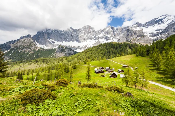 Avusturyalı Köyü Ormanlar Çayırlar Çevrili Alanlar Karla Kaplı Alps Arka — Stok fotoğraf