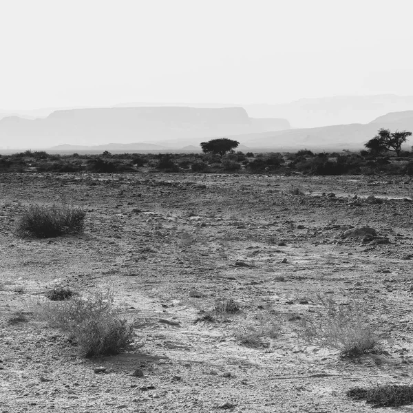 Desolate Infinity Rocky Hills Negev Desert Israel Dech Beroucí Krajina — Stock fotografie