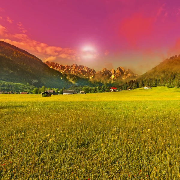 奥地利风景与森林和草甸在雪被盖的阿尔卑斯的背景日落 农业在奥地利 领域和牧场地 — 图库照片