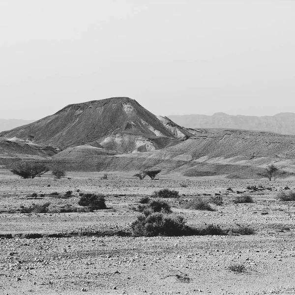 Soledad Vacío Las Colinas Rocosas Del Desierto Del Neguev Israel — Foto de Stock