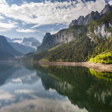Avusturyalı yatay, ormanlar, çayırlar, alanları ve göl Gosausee Alps arka plan üzerinde çevreleyen otlak