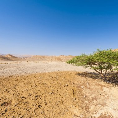 İsrail 'deki Negev Çölü' nün Rocky tepeleri. Güney İsrail 'deki kaya oluşumlarının nefes kesici manzarası. Tozlu dağlar wadiler ve derin kraterler tarafından kesildi..